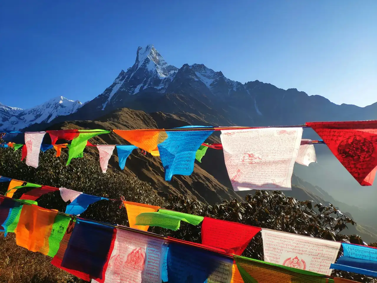 Colourful prayer flags with the summit of Machhapuchhre behind
