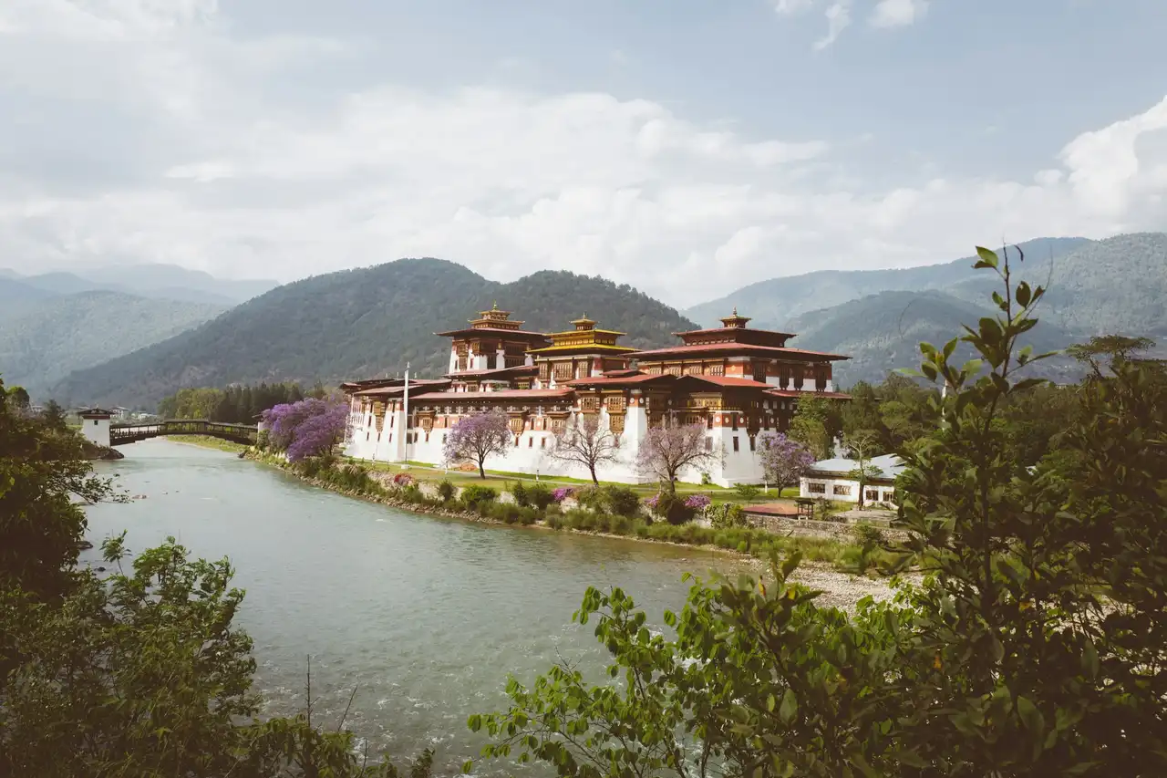 Punakha Dzong at the river’s edge with purple jacaranda trees in bloom