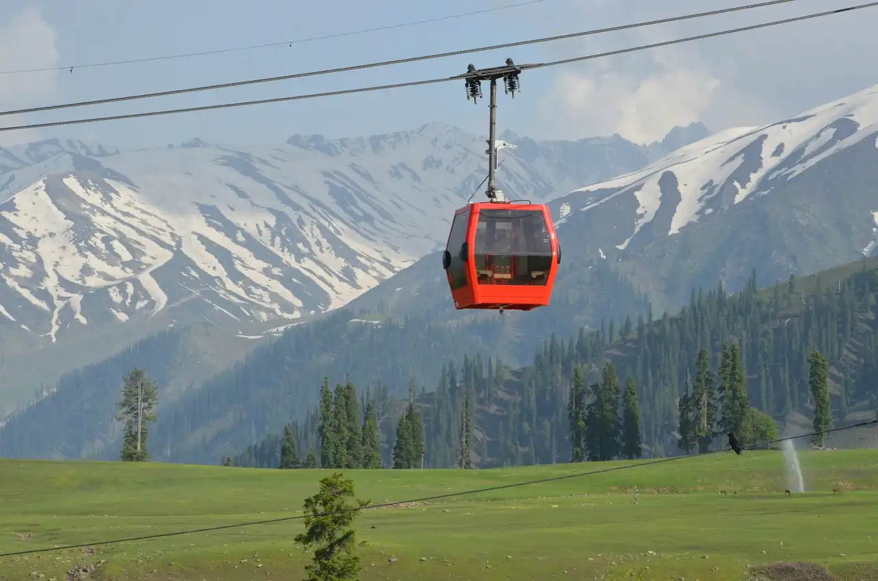 The Gulmarg gondola above a green meadow and fir trees