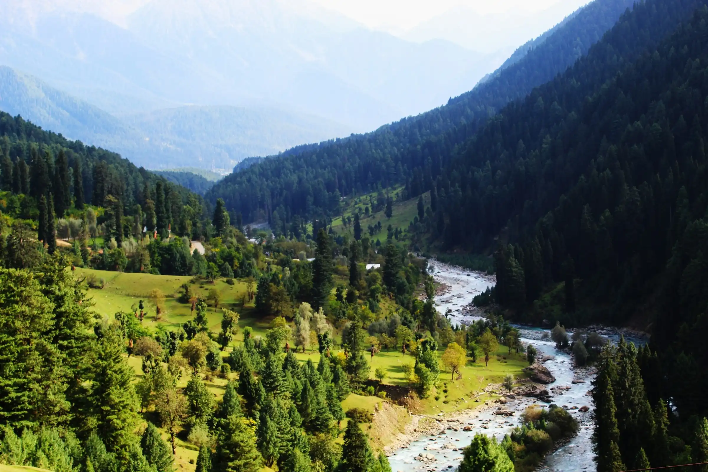 The green Lidder valley near Pahalgam, a glacial river winding between meadows and pine forest