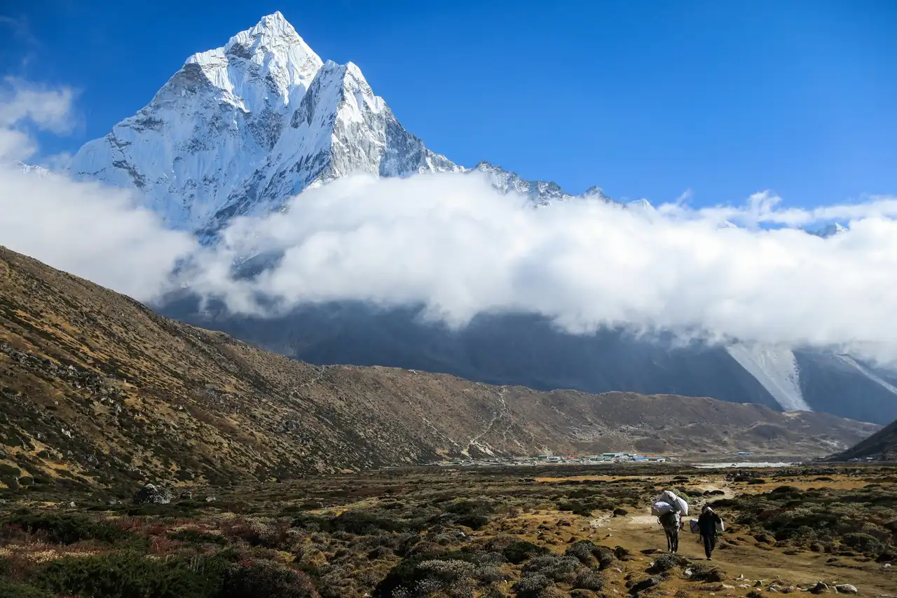 A trekker and a pack horse on the Pheriche trail below Ama Dablam