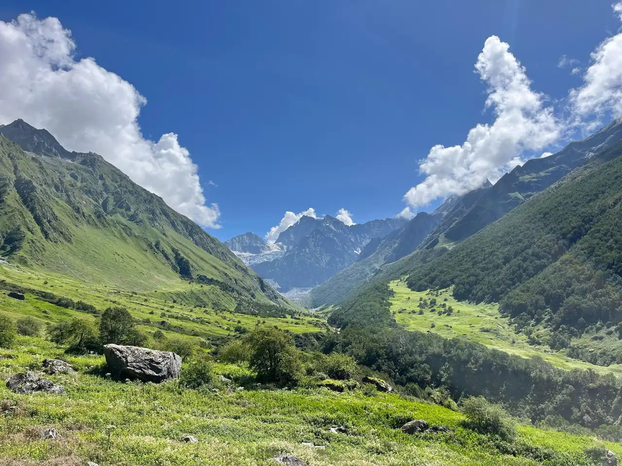 Green alpine meadows of the Valley of Flowers below a snow peak